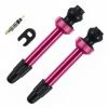 Barbieri 45mm Ventil Sæt Til Tubeless Pink -cykel maling Salgsbutik Barbieri 45mm ventil saet til tubeles 1600085047
